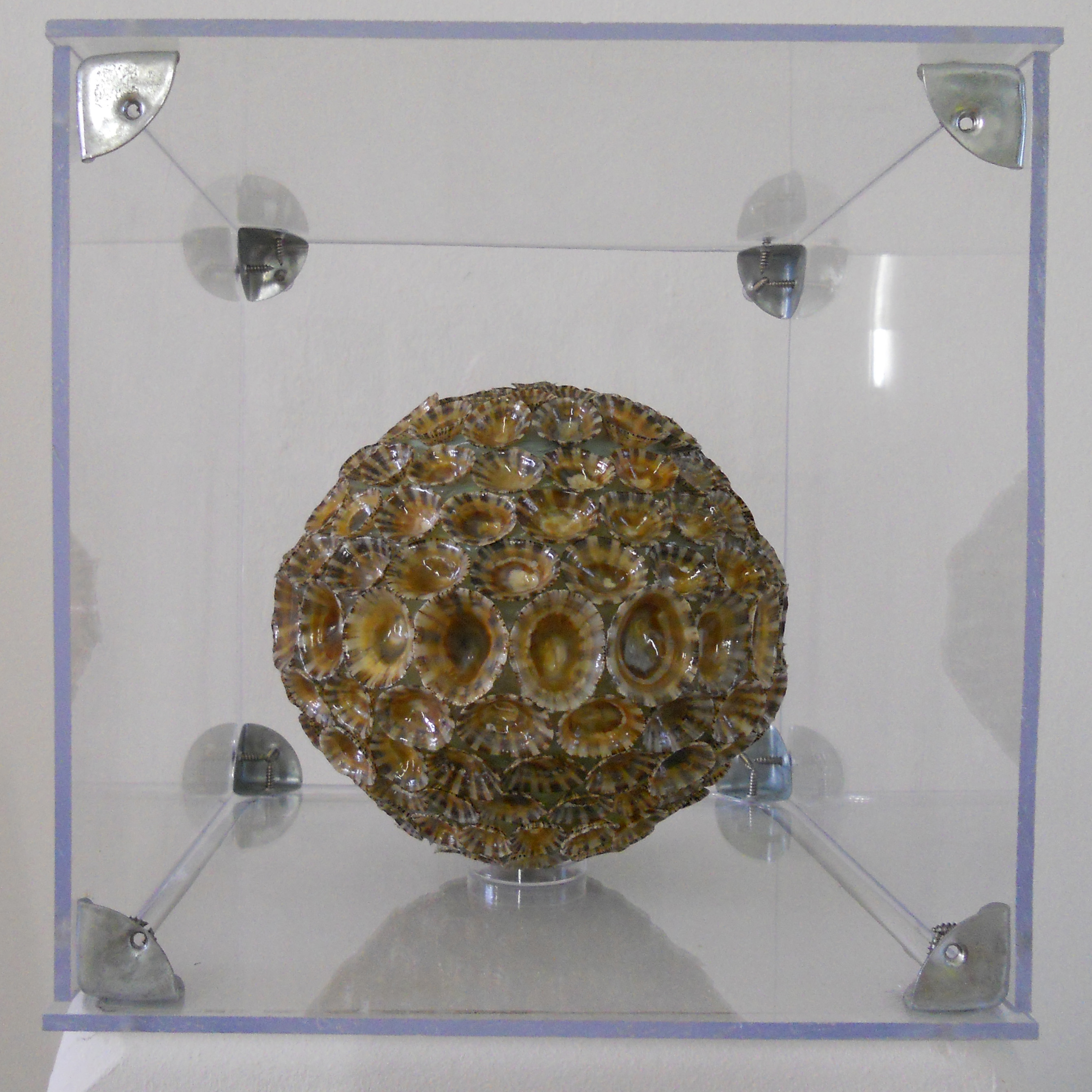 MW 04 (Hohe Aufl&ouml;sung)